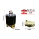 2W-025-08 Water Fountain Solenoid Valve Underwater Cu Alloy Valve Body