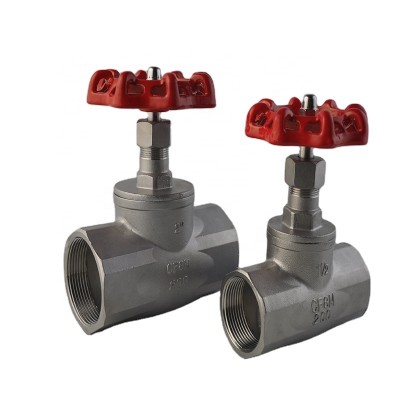 DHGV-1 stainless steel water globe gate valve